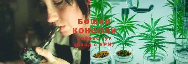 винт Пересвет