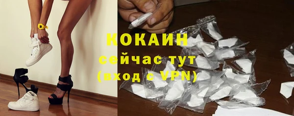 винт Пересвет