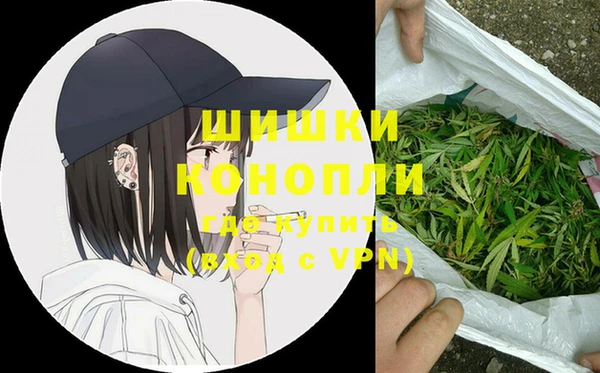 винт Пересвет