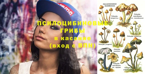 винт Пересвет