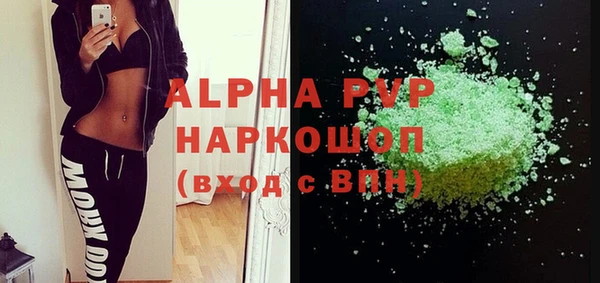 винт Пересвет
