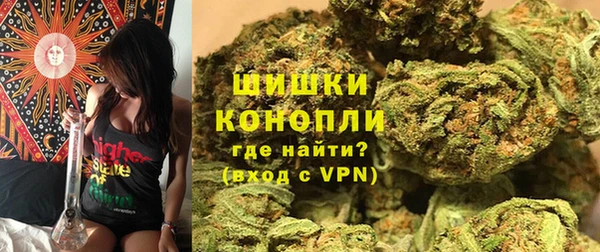 винт Пересвет