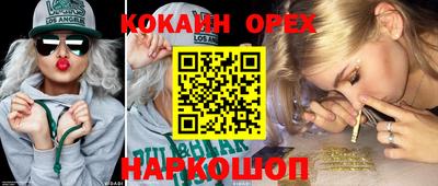 гидра Заводоуковск