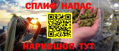 прущие грибы Заволжье
