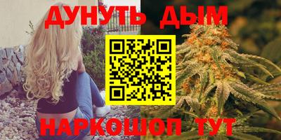 гидра Заводоуковск