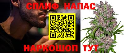 гидра Заводоуковск