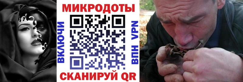 цена мега ТОР Галлюциногенные грибы Magic Shrooms Кировск