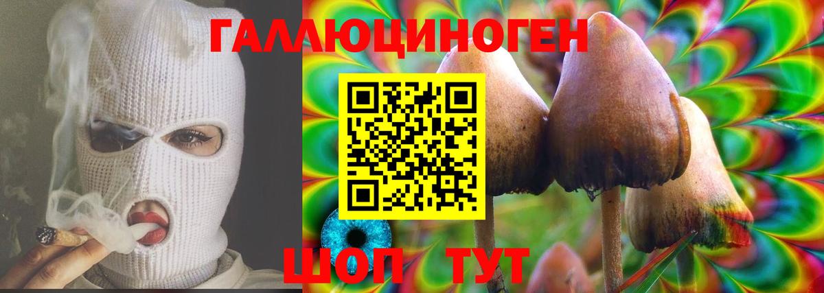 Галлюциногенные грибы прущие грибы Кировск