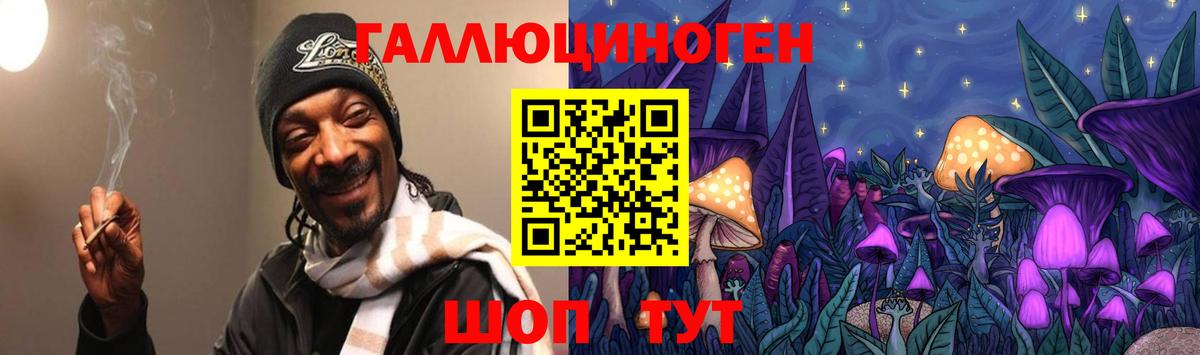 где продают наркотики  Псилоцибиновые грибы Psilocybine cubensis  Кировск  Вход с VPN  Псилоцибиновые грибы Psilocybe 