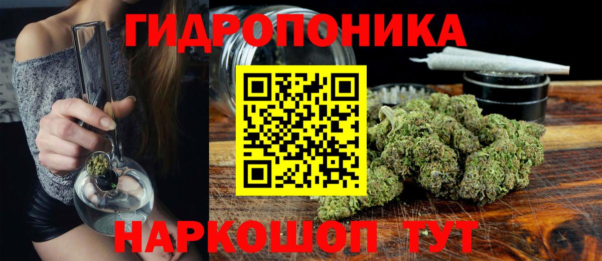 Марихуана Amnesia  Бошки Шишки тримм  Марихуана Bruce Banner  Кировск  Вход с VPN 